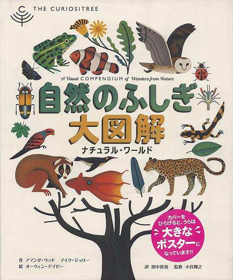 自然のふしぎ大図解 ナチュラル・ワールド